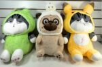 PELUCHES OSOS CON MANTA